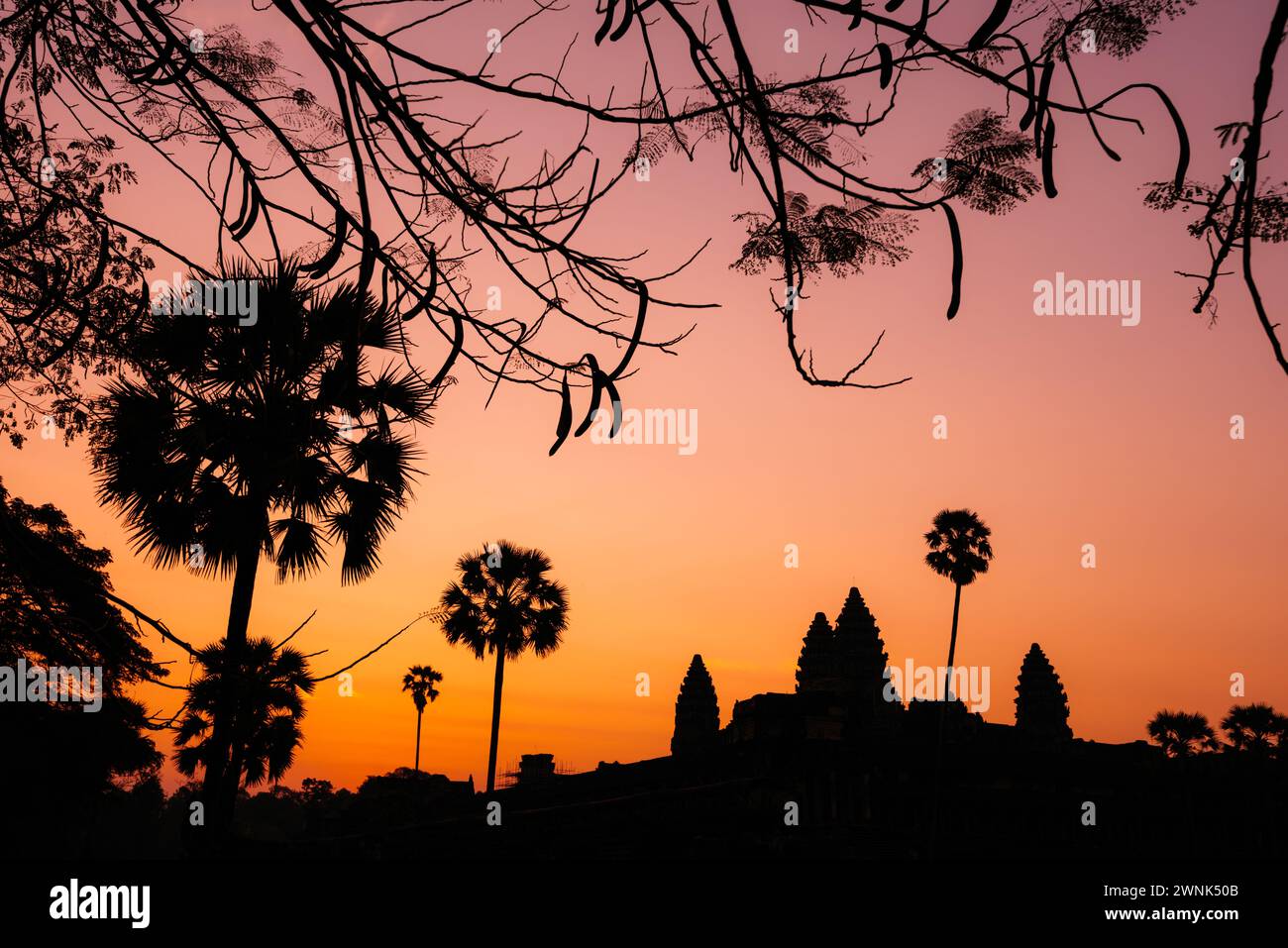 Angkor Wat, un complexe de temples bouddhistes-hindous classé au patrimoine mondial de l'UNESCO, à l'aube, près de Siem Reap, Cambodge Banque D'Images