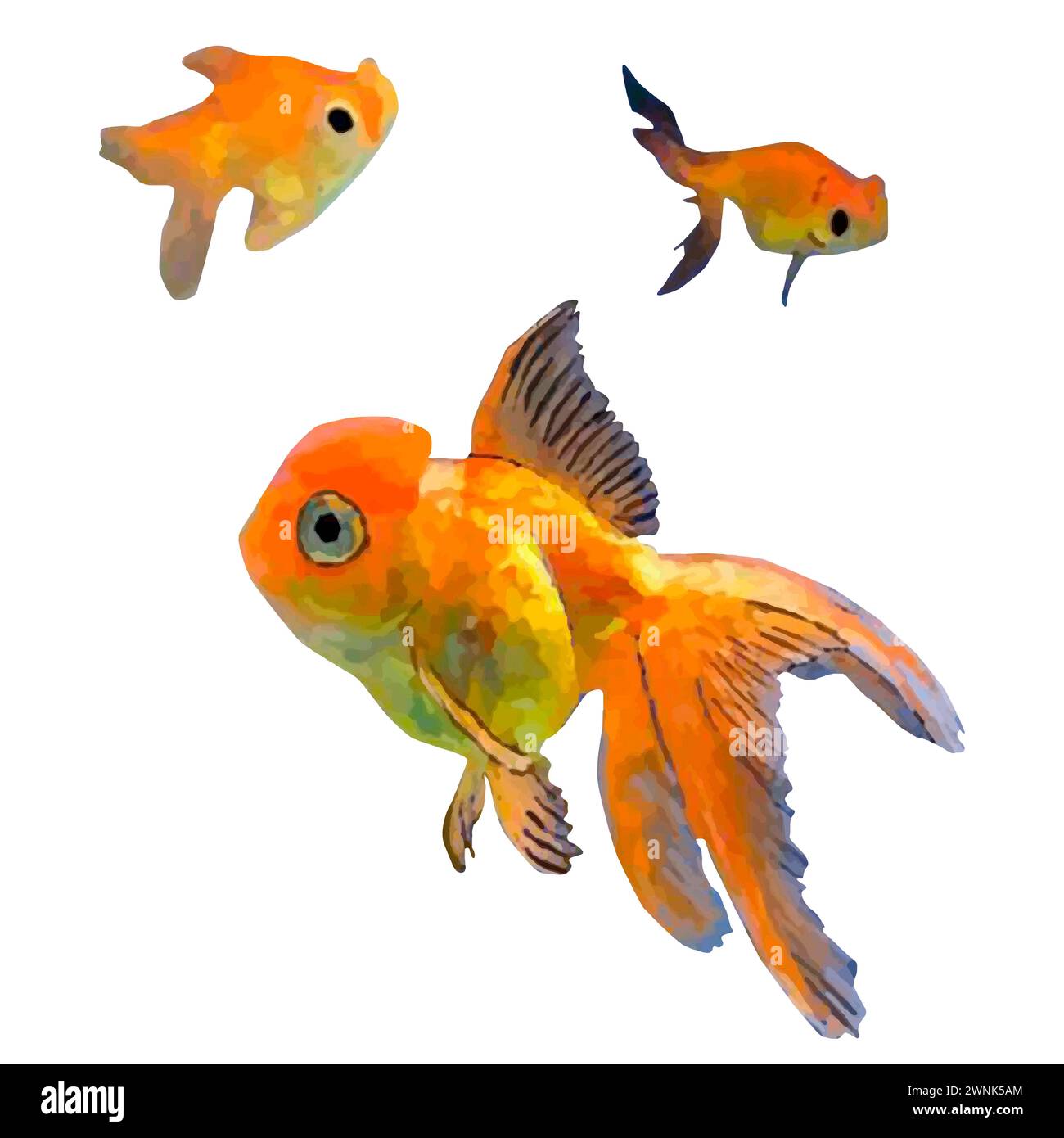 Illustration vectorielle poisson tropical sur fond blanc. Poissons d'aquarium sous-marin de mer tropicale. Poisson doré Illustration de Vecteur