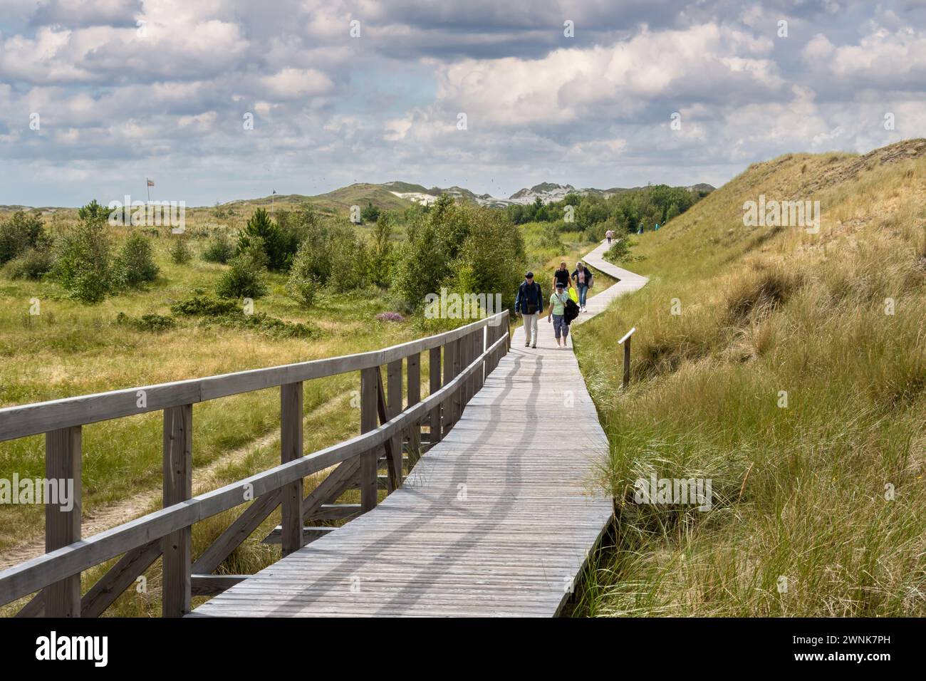 Les gens marchent sur la promenade dans les dunes de Wittdun sur l'île d'Amrum, Frise du Nord, Schleswig-Holstein, Allemagne Banque D'Images