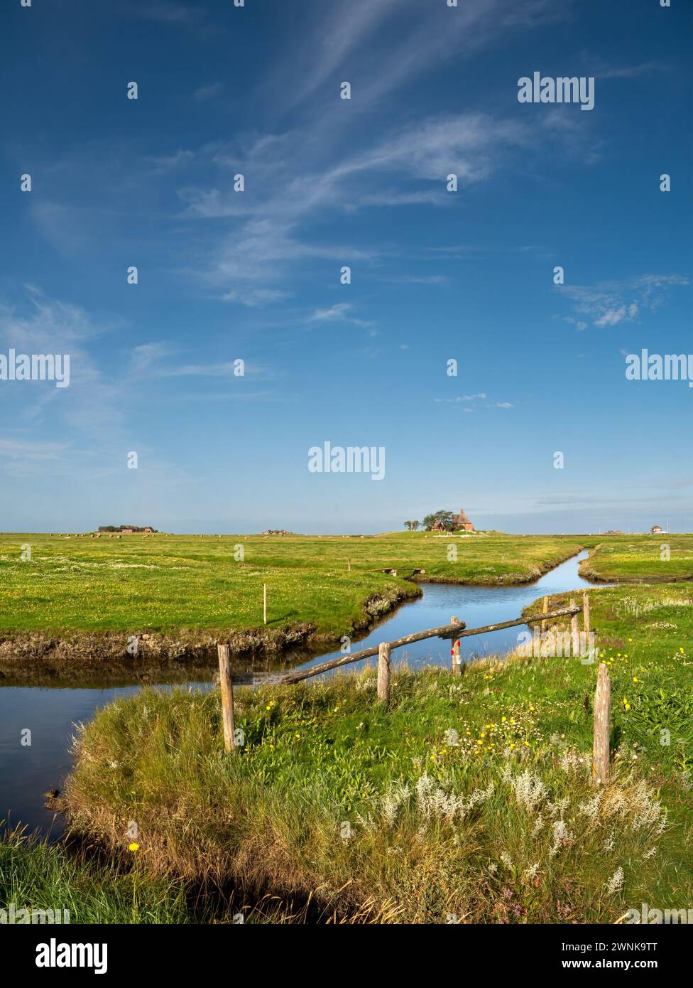 Paysage avec Kirchwarft et Ockelützwarft sur Hallig Hooge, Frise du Nord, Schleswig-Holstein, Allemagne Banque D'Images