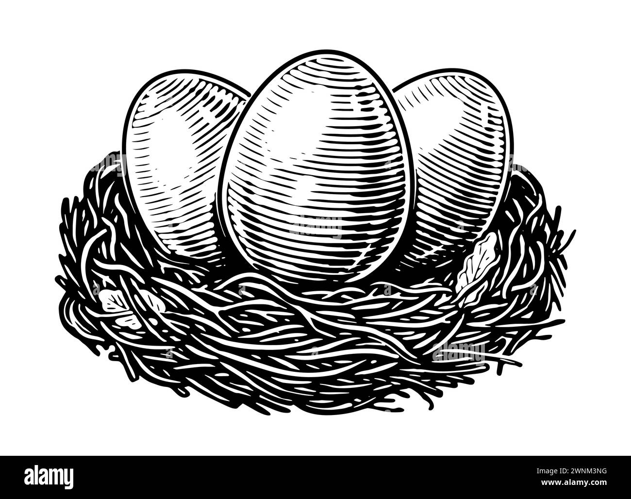 Oeufs de poule dans l'illustration vectorielle de nid de foin. Produits agricoles biologiques. Croquis dessiné à la main vintage Illustration de Vecteur