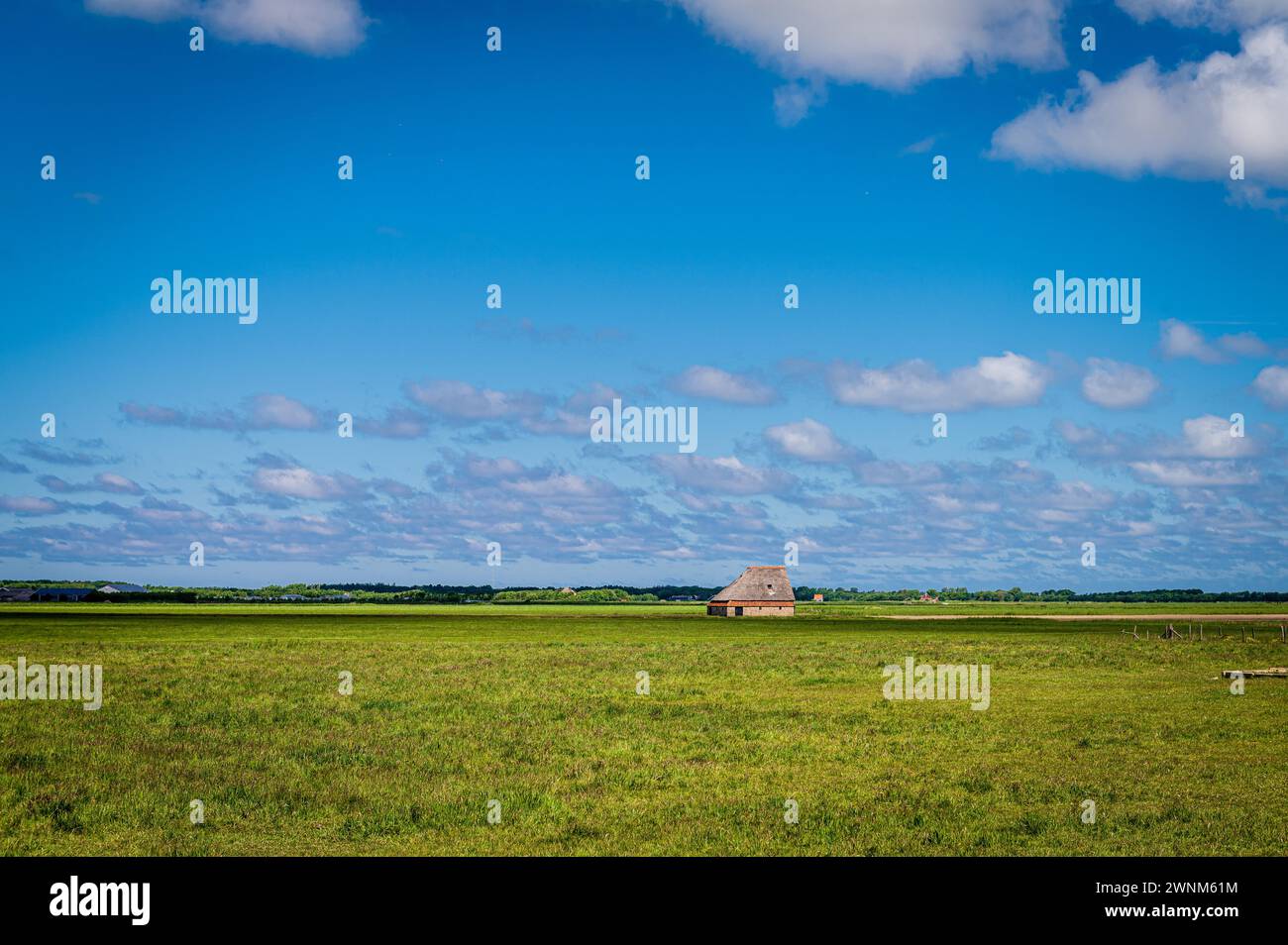 Une cabane solitaire sous un vaste ciel bleu, entourée par le silence de vastes champs, Den Hoorn, Texel, Noord-Holland, pays-Bas Banque D'Images