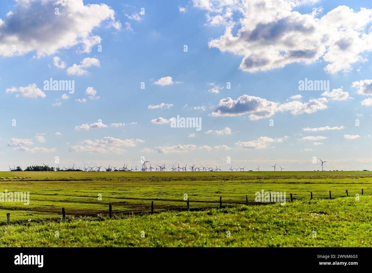 Large paysage vert avec des éoliennes à l'horizon sous un ciel bleu, mer des Wadden, Norddeich, Frise orientale, basse-Saxe Banque D'Images