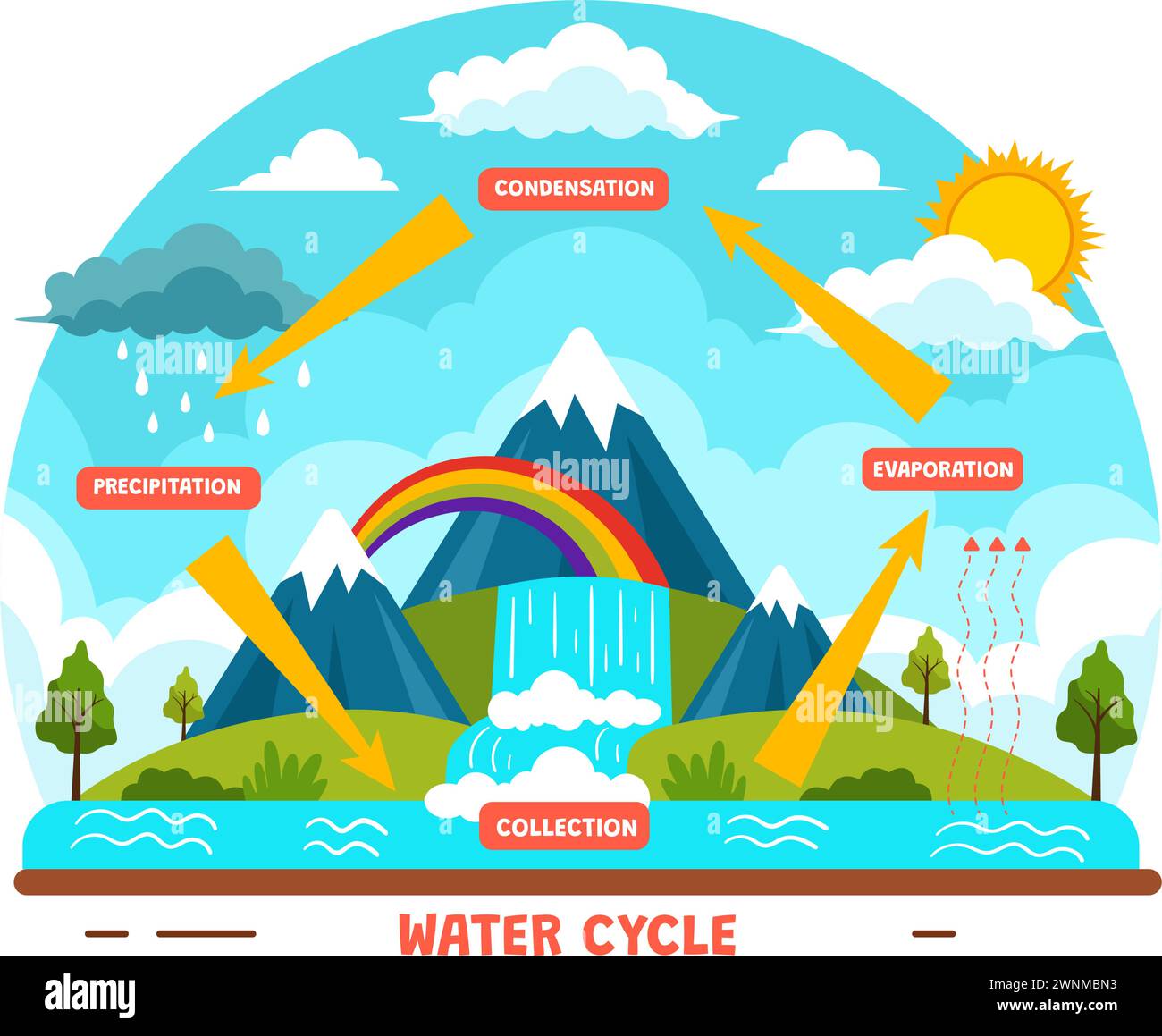 Illustration vectorielle du cycle de l'eau avec évaporation, condensation, précipitation à la collecte dans l'environnement naturel de la Terre en fond de dessin animé plat Illustration de Vecteur