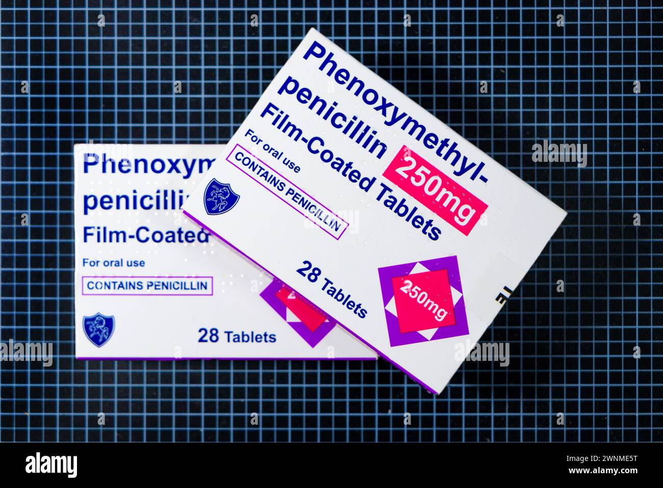 Plan de studio isolé de boîtes de comprimés pelliculés antibiotiques, Phenoxymethyl pénicillin, antibiotiques, Banque D'Images
