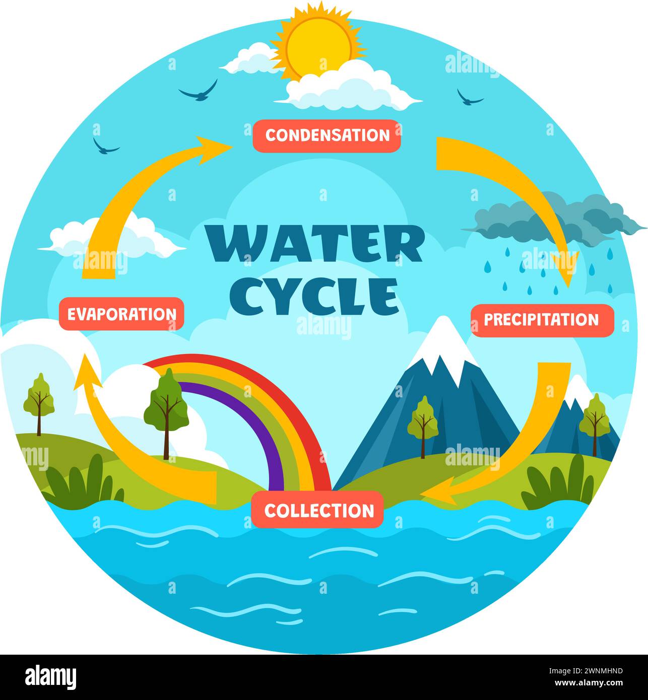 Illustration vectorielle du cycle de l'eau avec évaporation, condensation, précipitation à la collecte dans l'environnement naturel de la Terre en fond de dessin animé plat Illustration de Vecteur