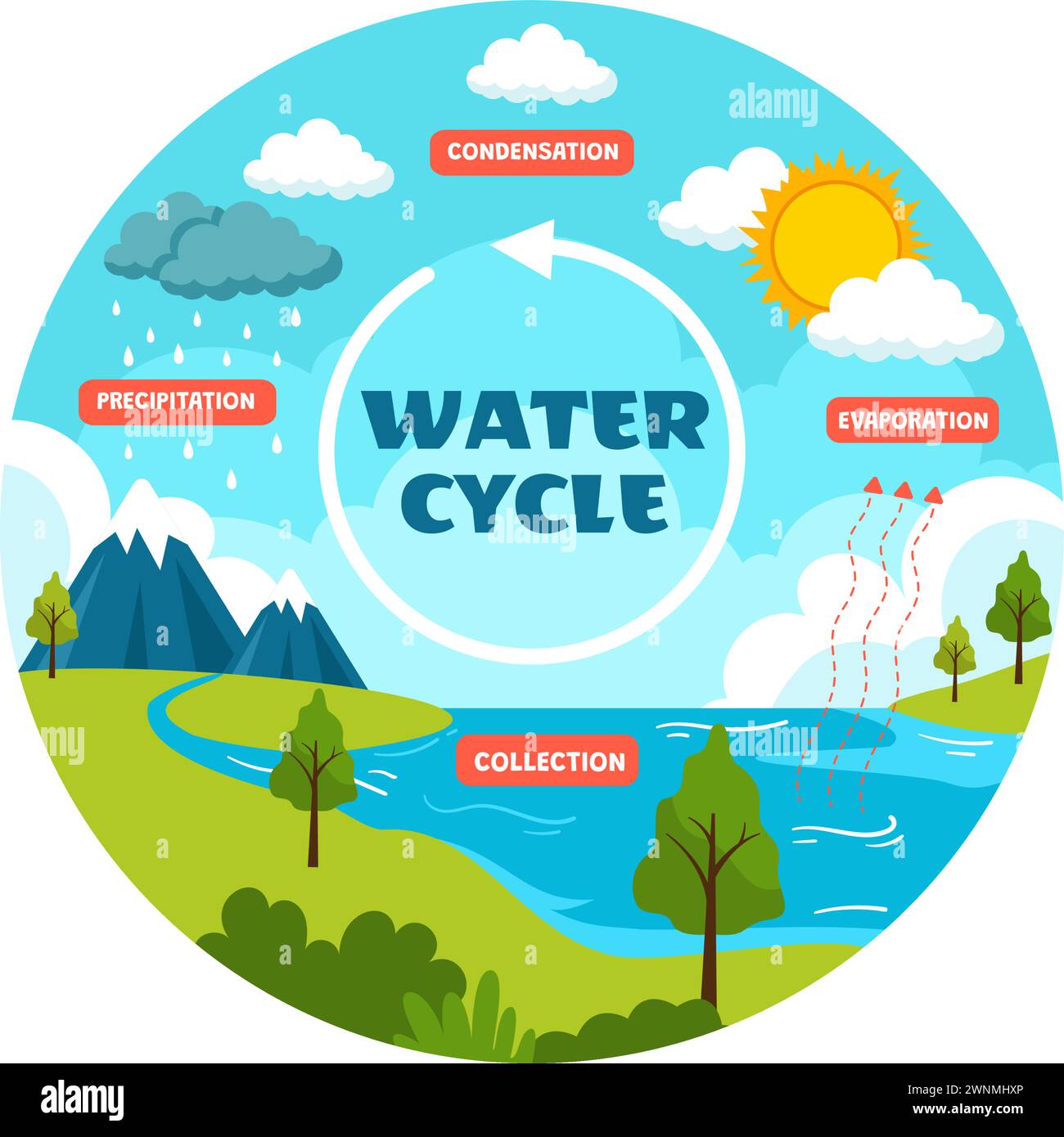 Illustration vectorielle du cycle de l'eau avec évaporation, condensation, précipitation à la collecte dans l'environnement naturel de la Terre en fond de dessin animé plat Illustration de Vecteur