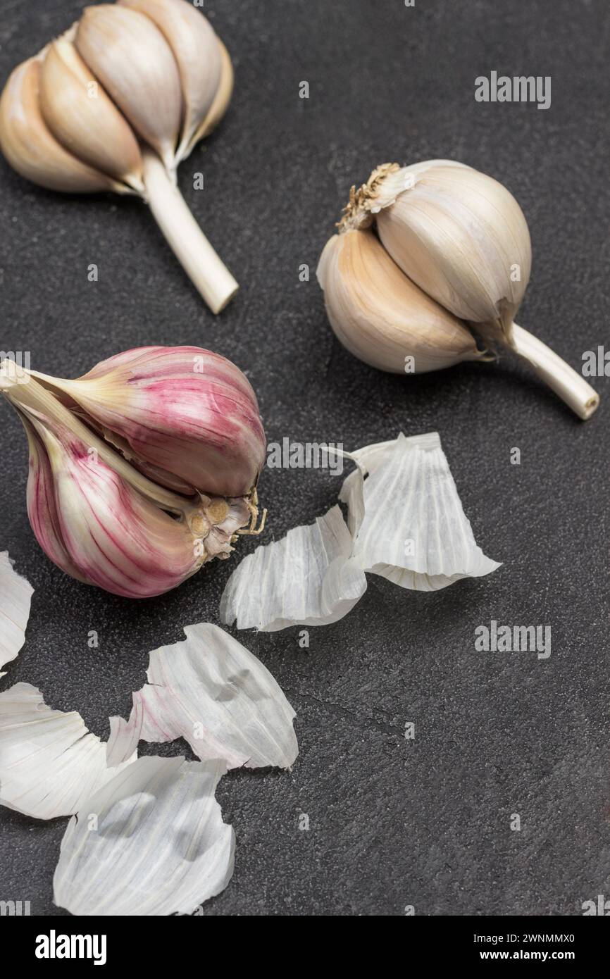 Tête de gousse d'ail. Aliments naturels de la ferme. Produits pour immunité. Fond noir. Vue de dessus Banque D'Images