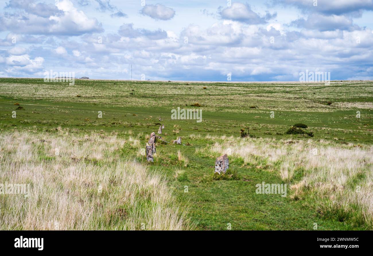 Rangée de pierres à Ringmoor en bas, regardant au nord, loin du cercle de pierre associé. Parc national de Dartmoor, Devon, Angleterre, Royaume-Uni. Banque D'Images