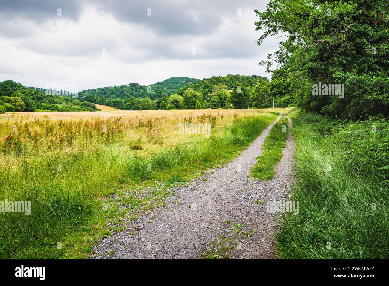 Direction est du pont Dogmarsh, direction Fingle Bridge, en suivant le cours de la rivière Teign, Devon, Angleterre, Royaume-Uni. Banque D'Images