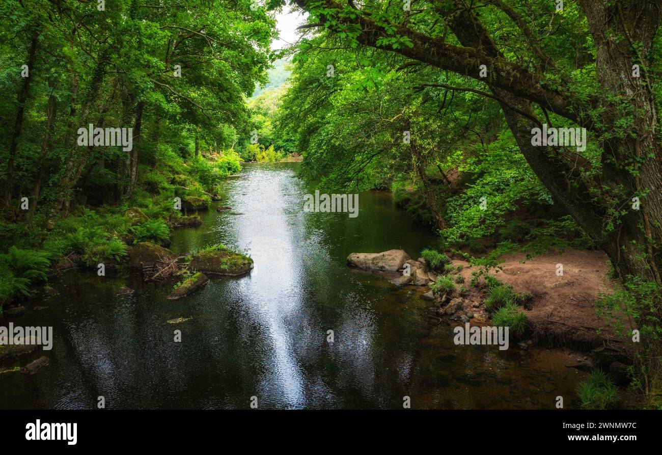 La rivière Teign coule sereinement, vue d'une passerelle sous Hunter's Tor et Castle Drogo, Devon, Angleterre, Banque D'Images
