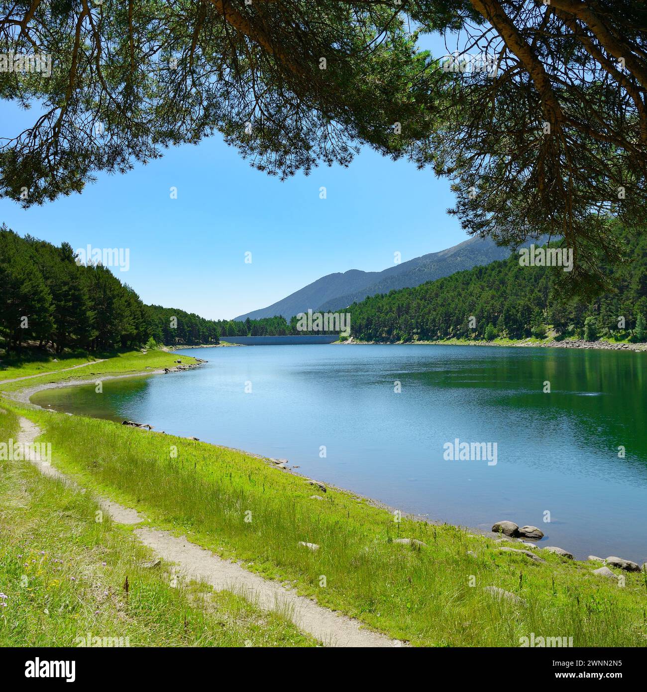 Beau lac et montagnes couvertes de forêt de conifères. Banque D'Images