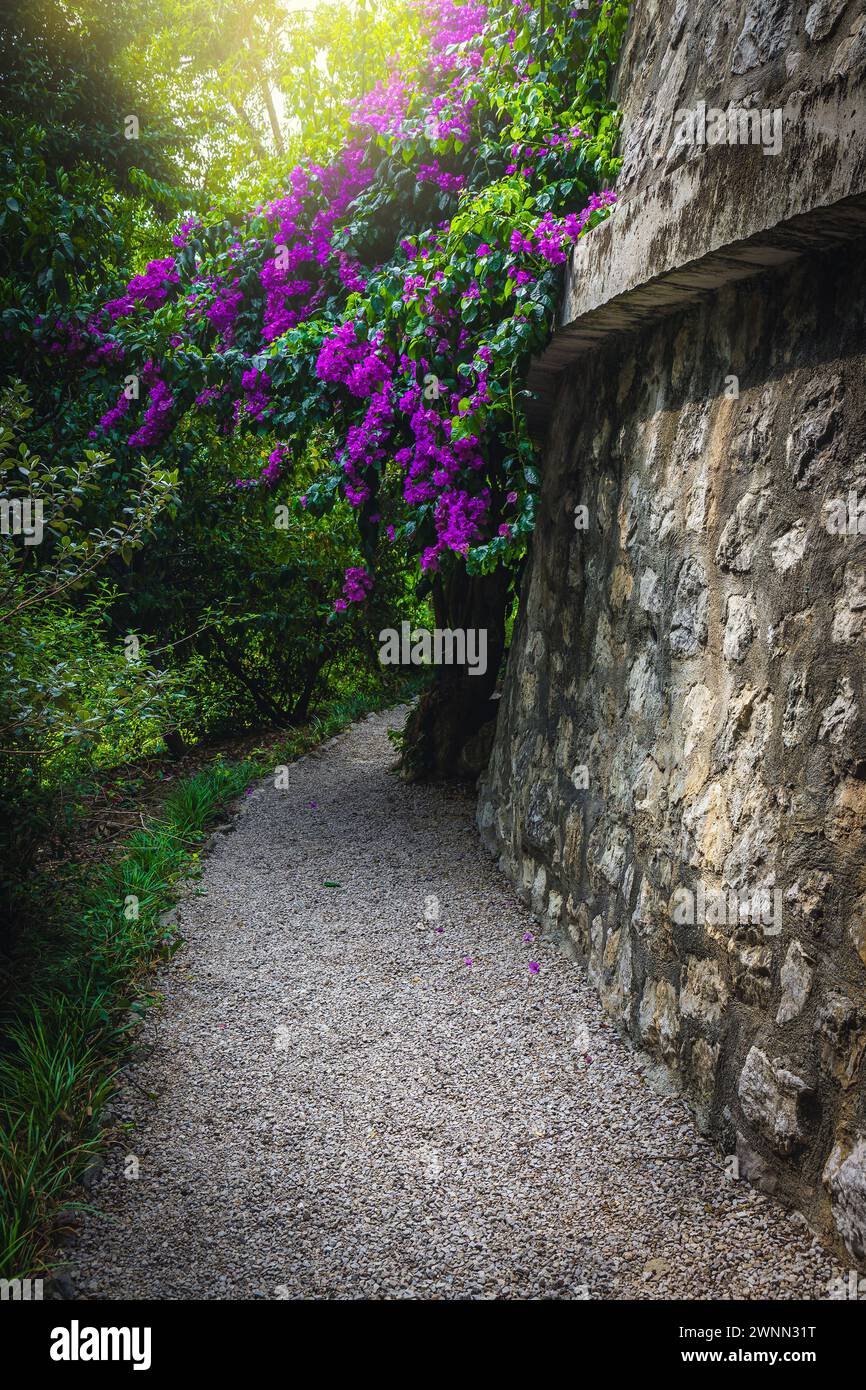 Confortable beau chemin de gravier entre les plantes méditerranéennes et les fleurs dans le jardin botanique, Menton, Provence Alpes Cote d Azur, France, Europe Banque D'Images
