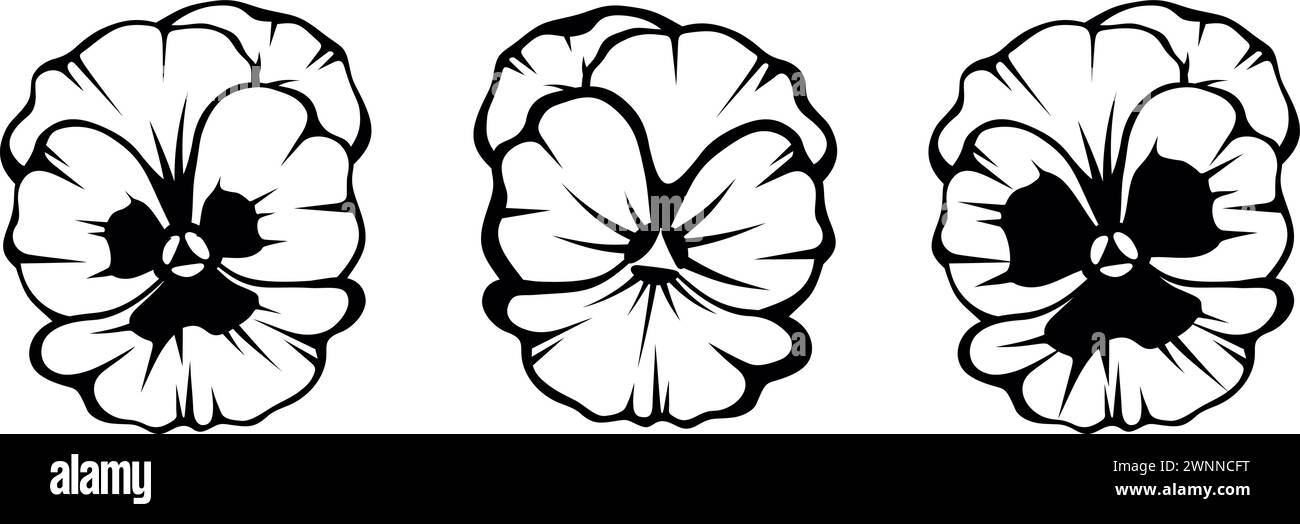 Fleurs de pensées. Silhouettes noires de fleurs de pensées isolées sur un fond blanc. Ensemble d'illustrations vectorielles en noir et blanc Illustration de Vecteur