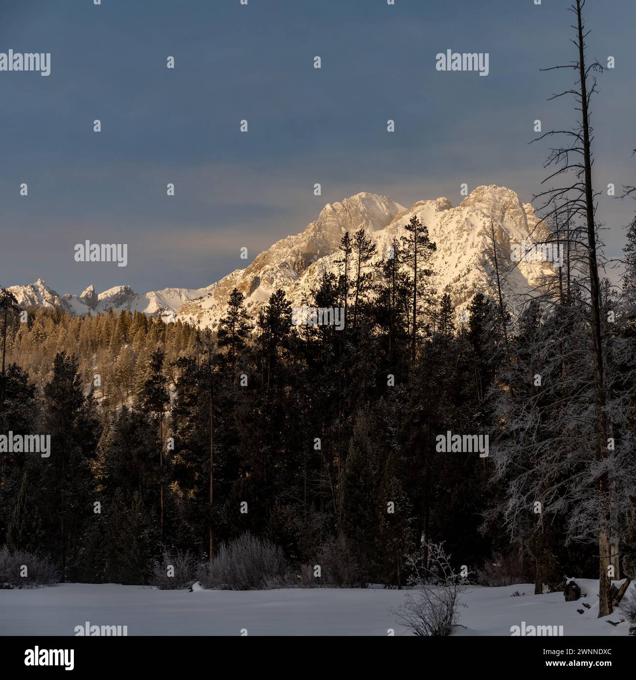 Pic de haute montagne en hiver avec neige et ciel bleu Banque D'Images
