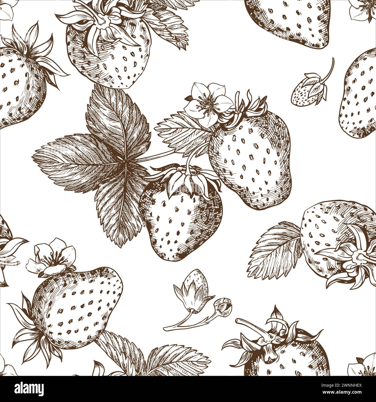 Croquis de motif de fraise. Baies, fleurs, branches et feuilles sur fond blanc. Vecteur Illustration de Vecteur