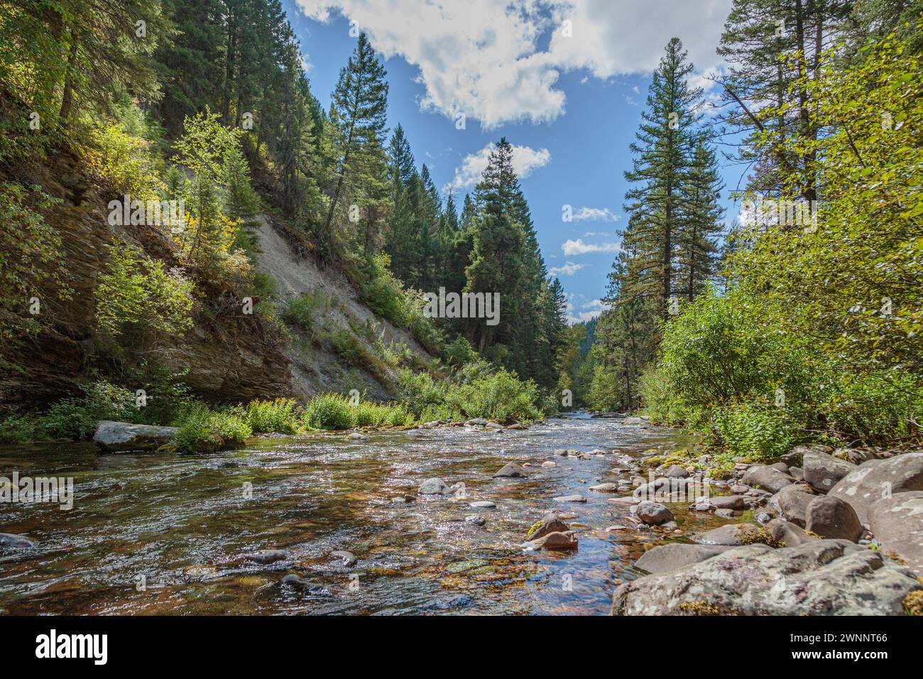 L'eau cristalline du ruisseau Rattlesnake coule à travers la forêt nationale de Lolo à Missoula, Montana Banque D'Images