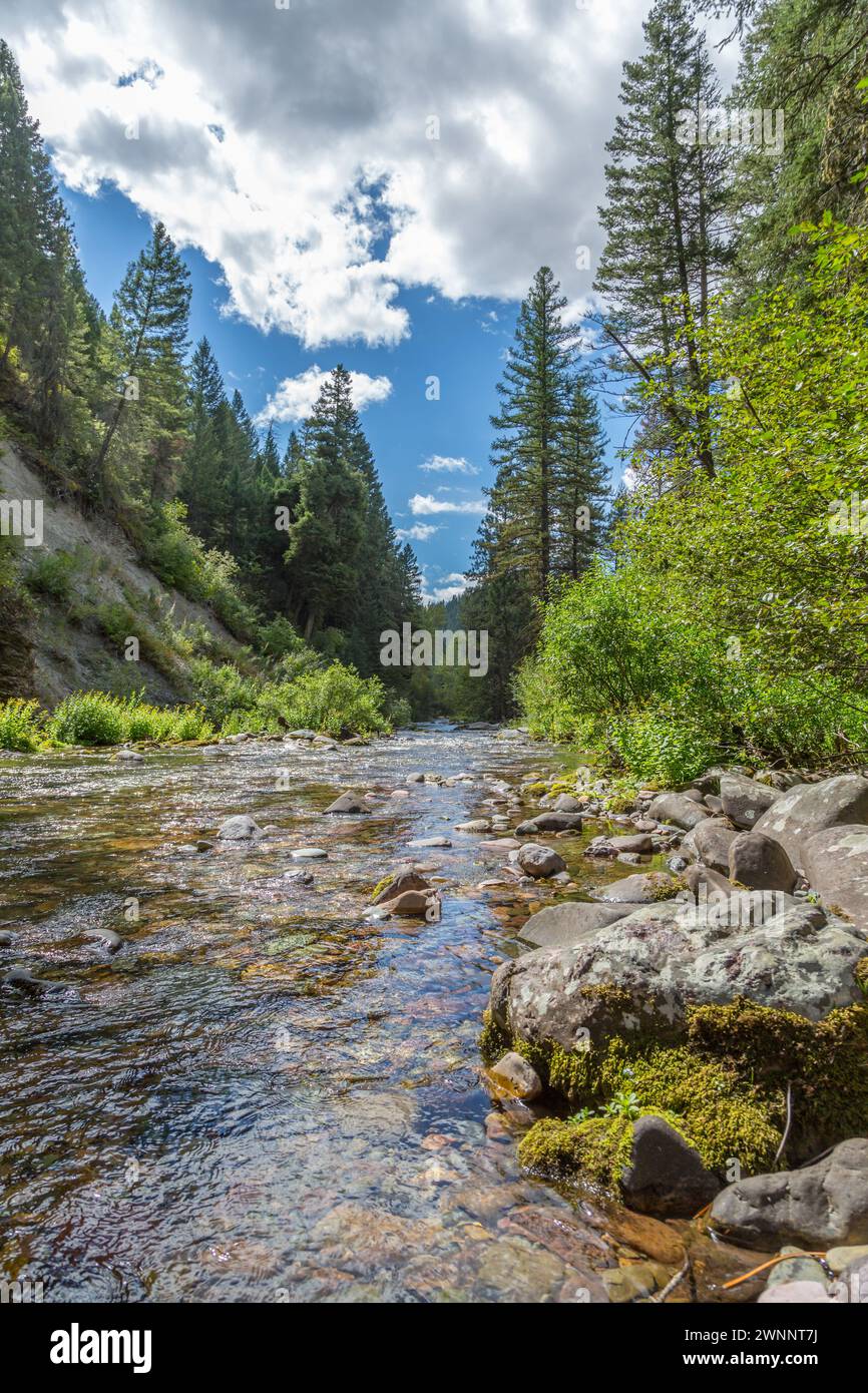 L'eau cristalline de Rattlesnake Creek serpente à travers la forêt nationale de Lolo à Missoula, Montana Banque D'Images