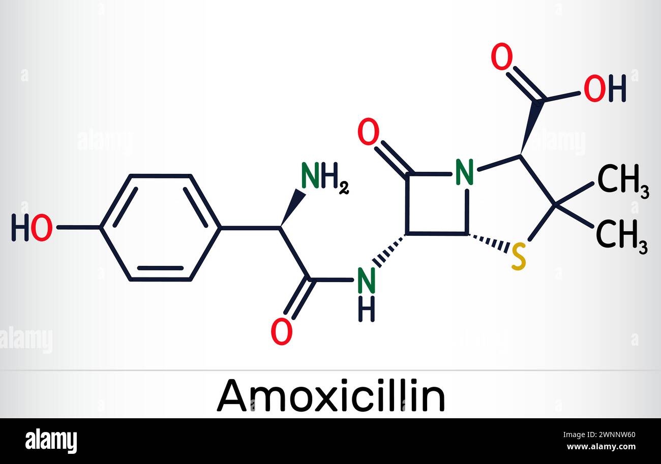 Molécule médicamenteuse d'amoxicilline. C'est un antibiotique bêta-lactame. Formule chimique squelettique. Illustration vectorielle Illustration de Vecteur