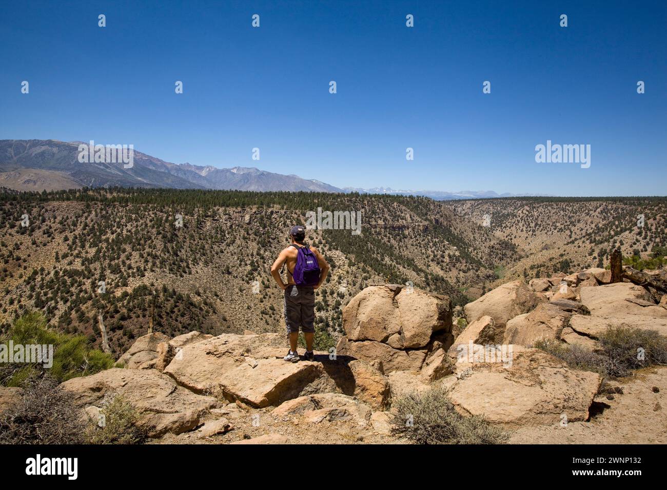 Les catacombes sont une zone le long du bord de la gorge de la rivière Owens de rochers de forme inhabituelle qui font appel aux randonneurs et aux grimpeurs. Banque D'Images