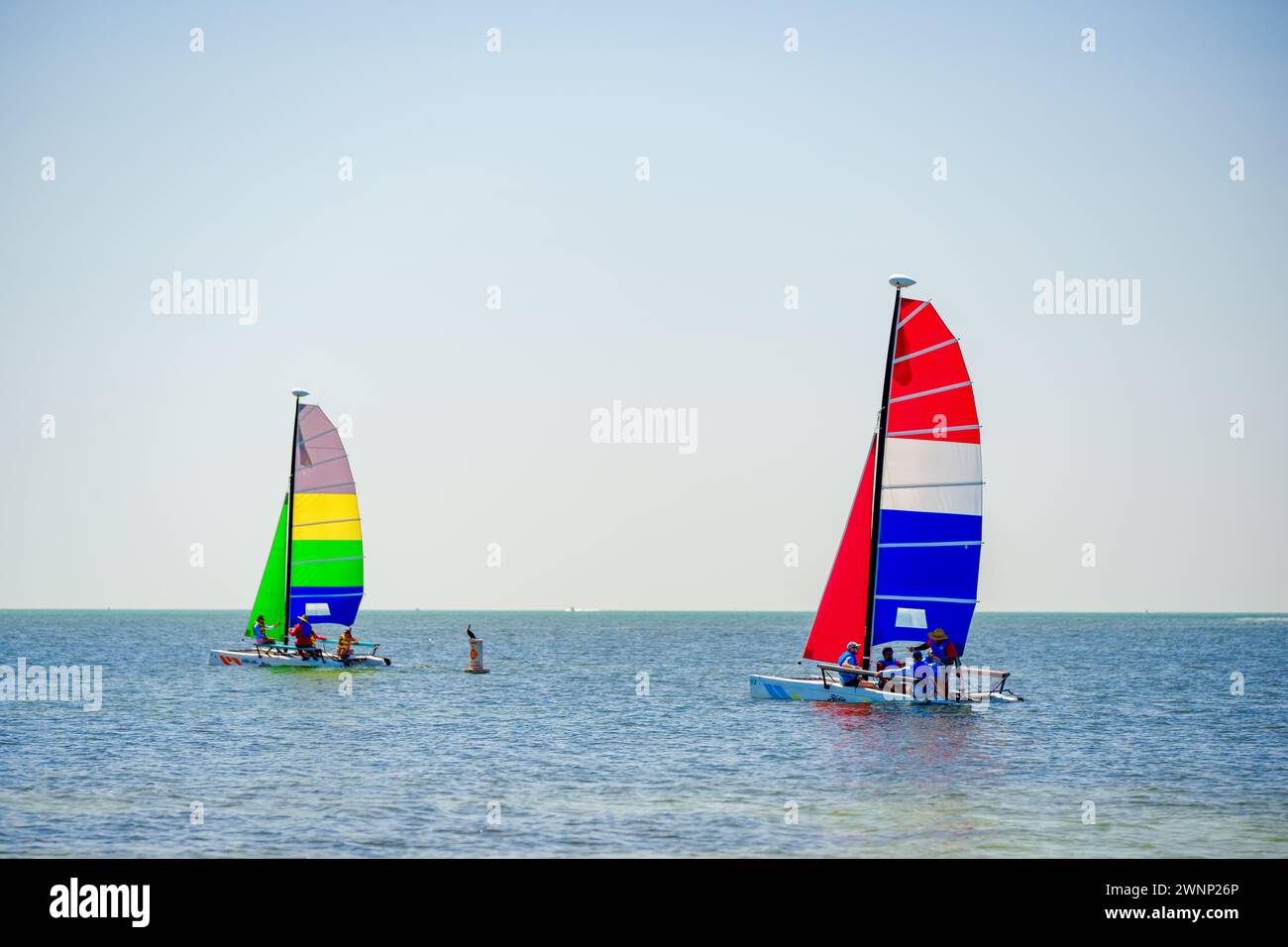 Miami, FL, États-Unis - 25 février 2024 : image stock de personnes naviguant dans la baie Banque D'Images