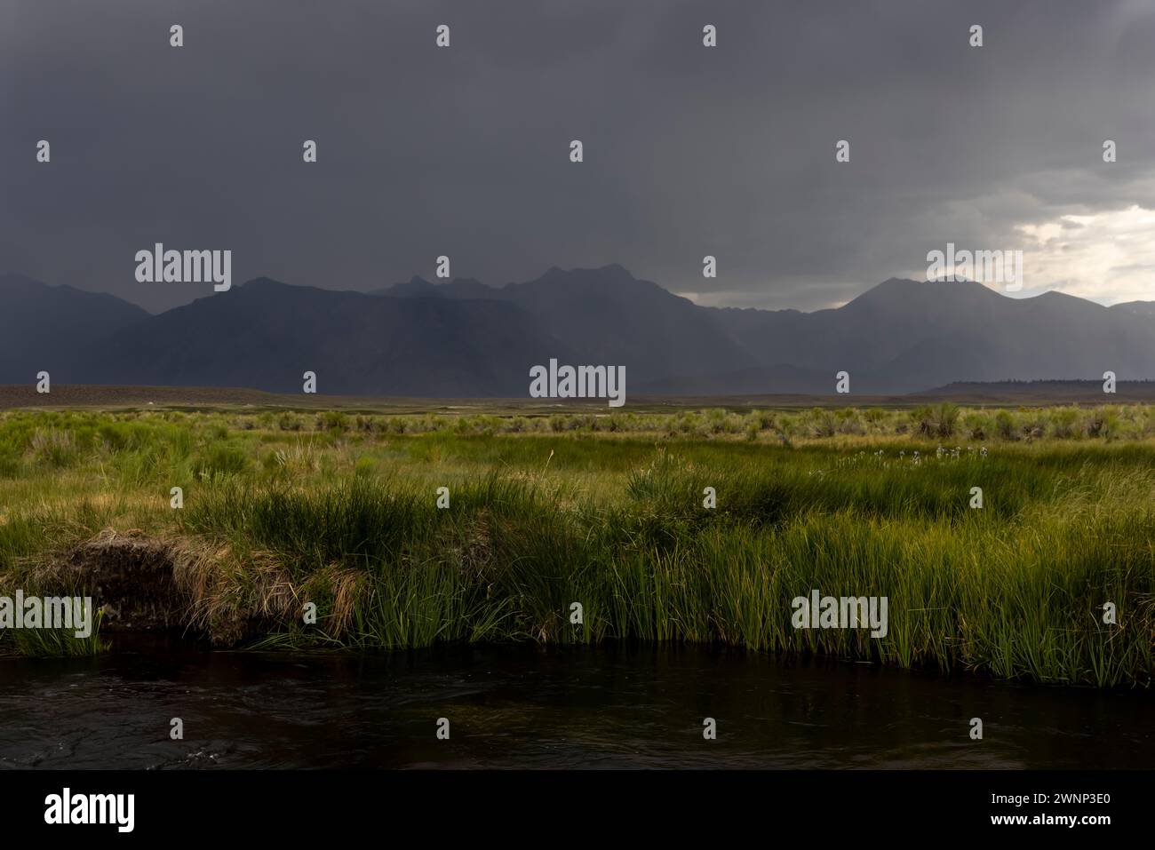 La météo se déplace le long de la rivière Upper Owens avec les Sierras orientales comme toile de fond. Banque D'Images