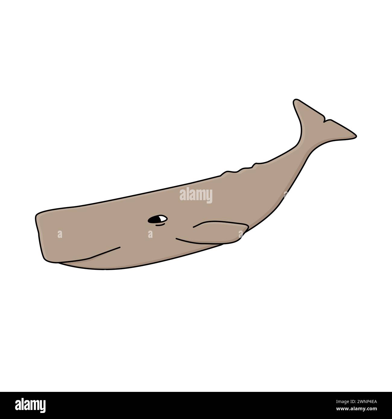 Illustration vectorielle dessinée à la main par le cachalot. Un animal aquatique de l'Antarctique isolé sur fond blanc Illustration de Vecteur