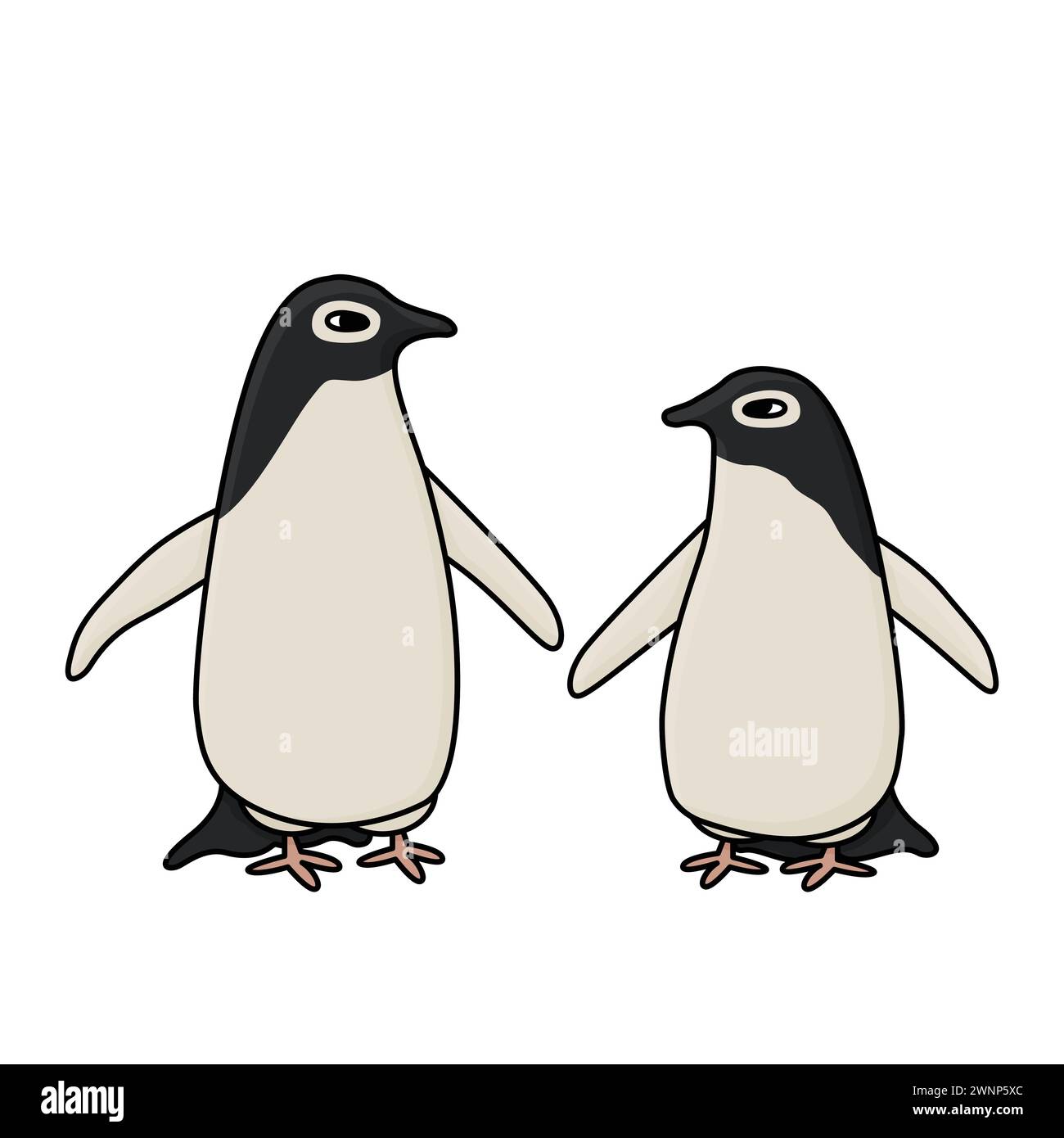 Des pingouins Adèle. Vecteur mignon dessin animé dessiné à la main illustration isolée de l'animal en Antarctique. Contour polaire art enfantin sur fond blanc Illustration de Vecteur