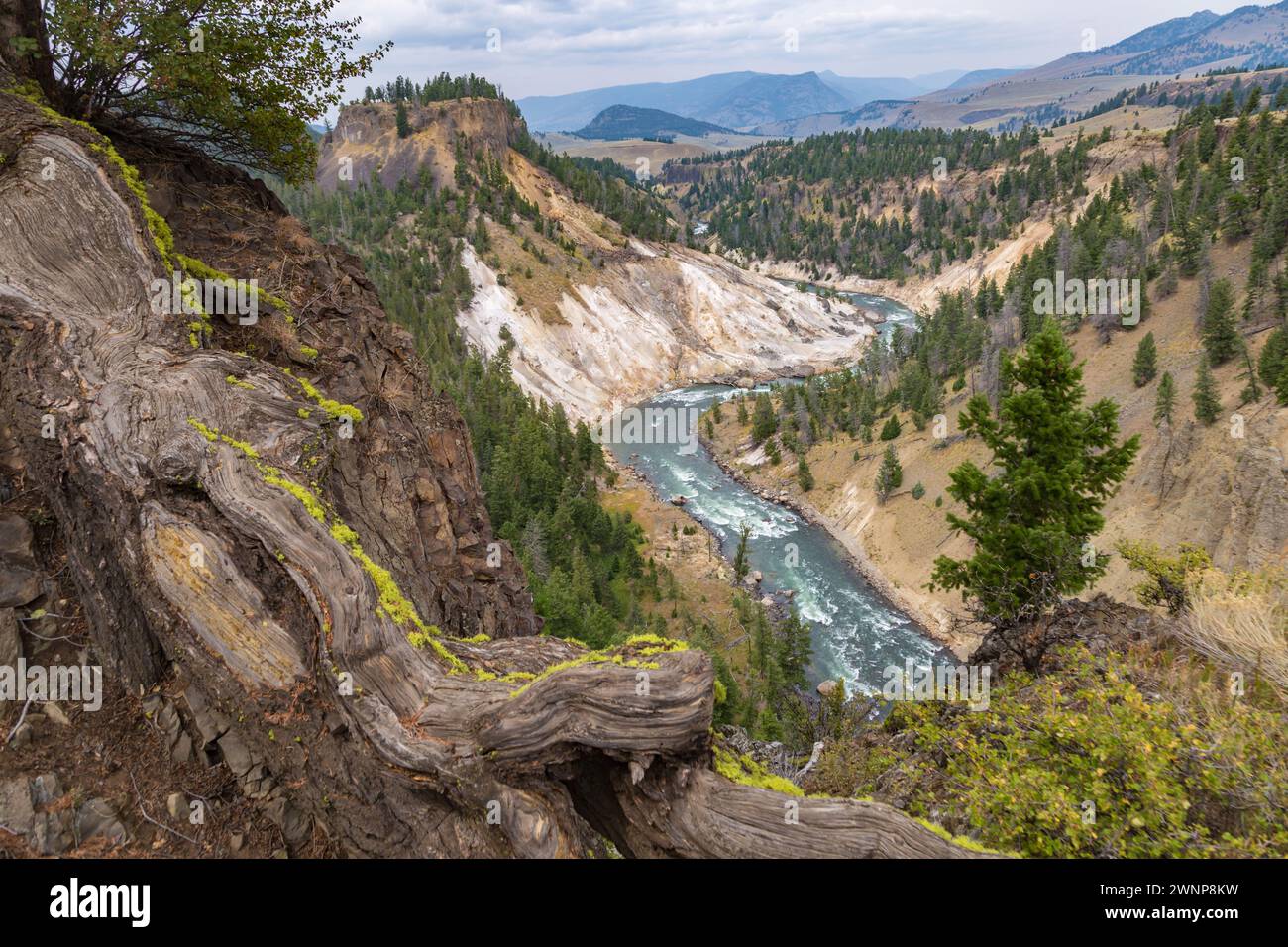 Vue sur la rivière Yellowstone au fond du Grand Canyon du Yellowstone depuis Calcite Springs Overlook dans le parc national de Yellowstone, Wyoming Banque D'Images