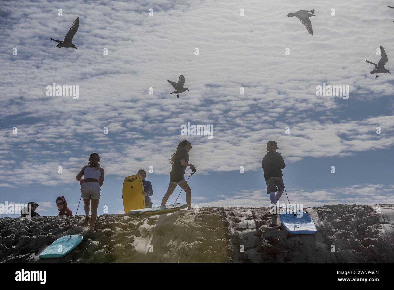 Le surf élevé et la température chaude de décembre attirent les gens à la plage de Malibu. Banque D'Images