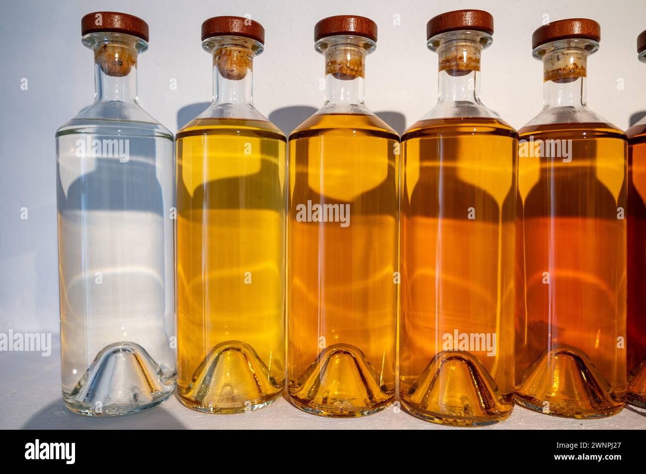 Différentes couleurs et âges de spiritueux de cognac en bouteilles en distillerie, région de vin blanc de Cognac, Charente, visite de l'ancienne maison de distillation de spiritueux, Banque D'Images