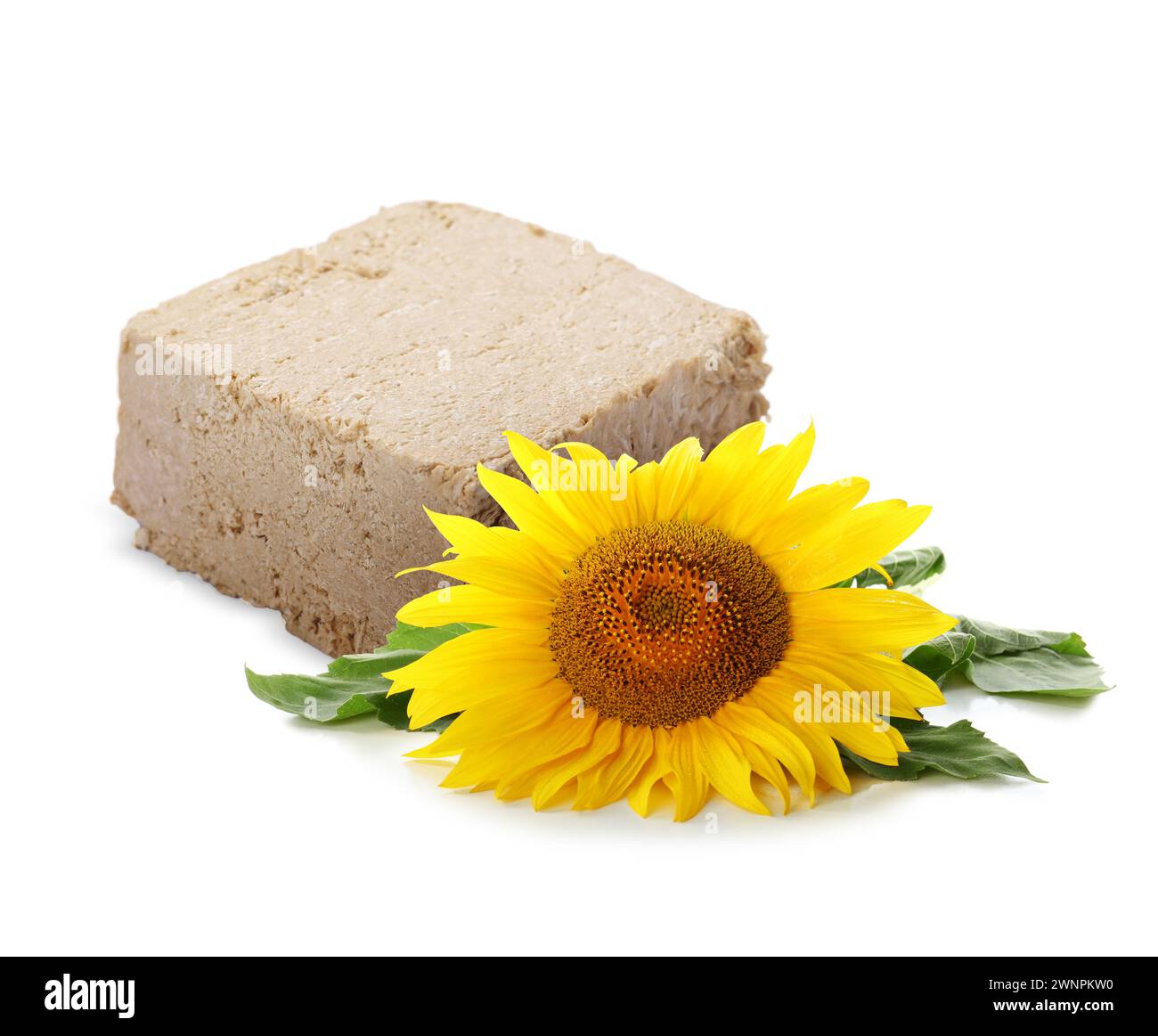 Savoureux halva et tournesol isolé sur blanc Banque D'Images