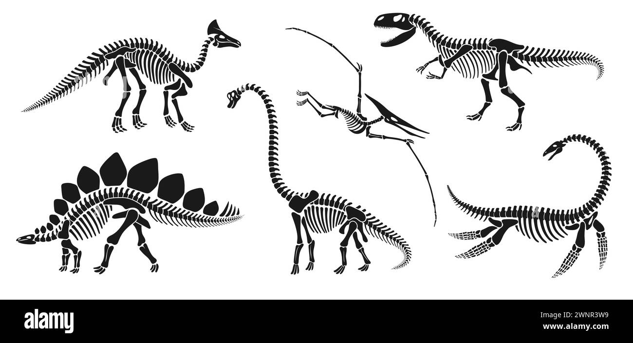 Fossile isolé de squelette de dinosaure, os de dinosaure. Silhouettes d'animaux reptiles vectoriels. brachiosaurus, stégosaurus, olorotitan, tyrannosaure ou trex, elasmosaurus et ptérodactyl anciens vestiges de reptiliens Illustration de Vecteur