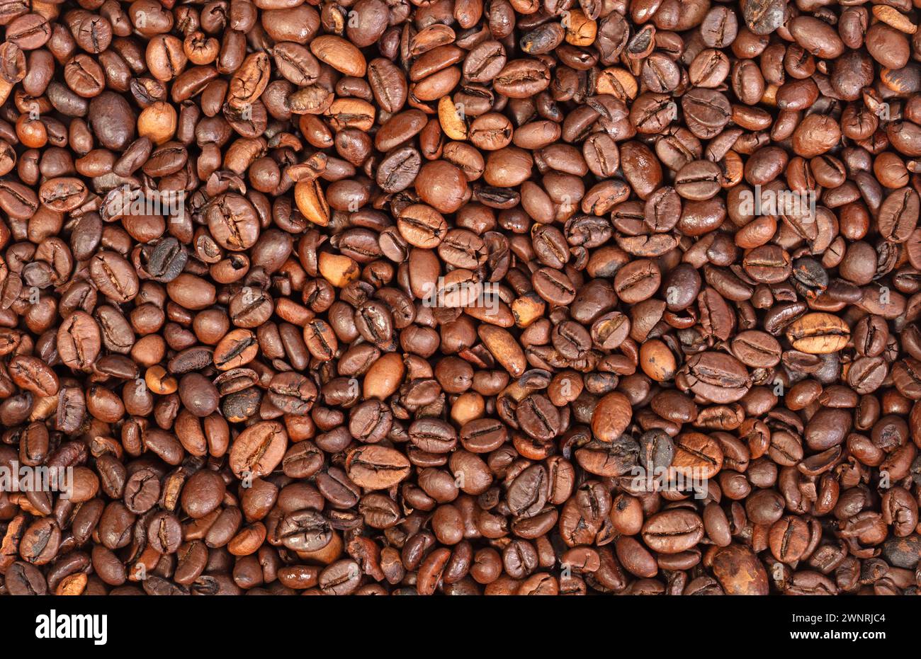 Grains de café isolés, grains forts pour une tasse de café forte Banque D'Images