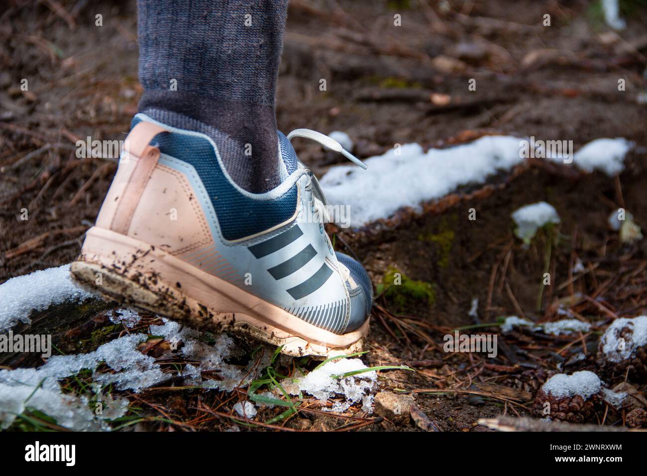 Femme marchant le long des sentiers de montagne enneigés avec des chaussures Adidas Terrex pour une utilisation de trekking Banque D'Images