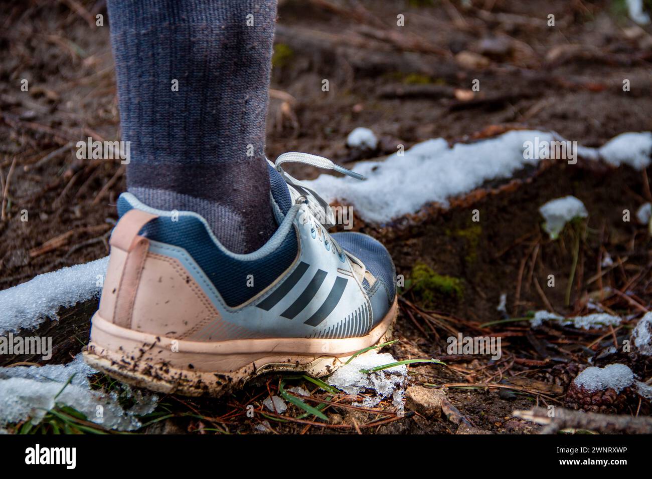 Femme marchant le long des sentiers de montagne enneigés avec des chaussures Adidas Terrex pour une utilisation de trekking Banque D'Images