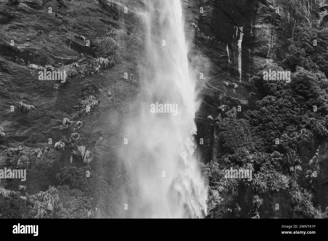 Jet époustouflant de cascade puissante dans Milford Sound Nouvelle-Zélande Banque D'Images