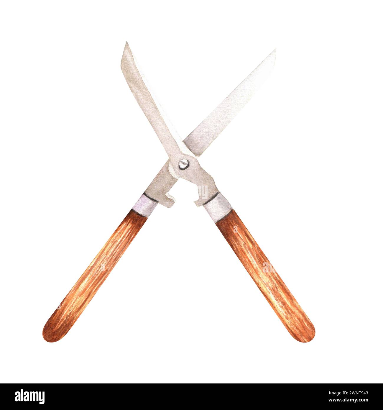 Illustration d'aquarelle dessinée à la main. Cisailles de jardin avec manche en bois Banque D'Images