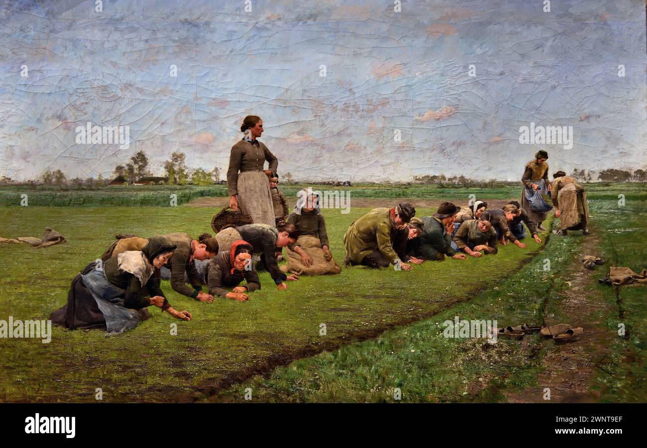 Flaxweeding en Flandre 1887 par Emile Claus 1849-1924 Musée Royal des Beaux-Arts, Anvers, Belgique, Belgique. Banque D'Images