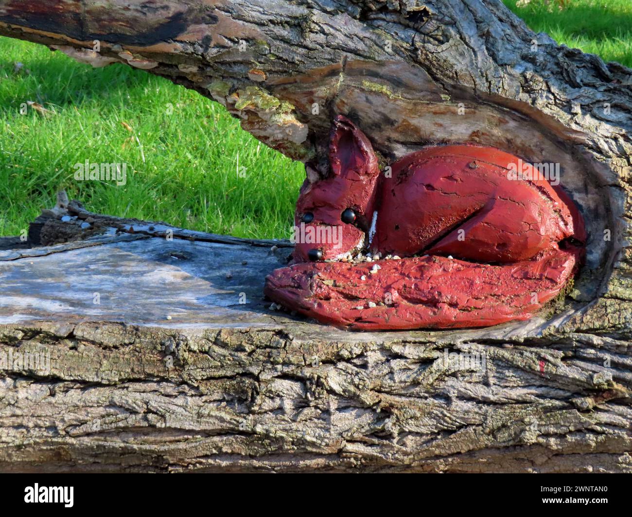 Kleiner Fuchs auf einer Sitzbank Kloster Kreitz Fuchs in Sitzbank *** petit renard sur un banc Monastère de Kreitz renard sur un banc Banque D'Images
