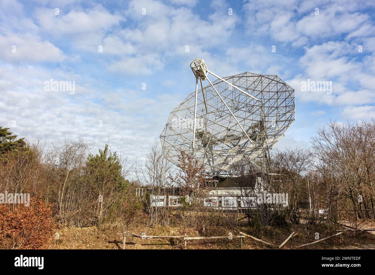 Grand radiotélescope parabolique (Radiotelescoop Dwingelderveld) au milieu d'arbres sans feuilles sous un ciel nuageux Banque D'Images