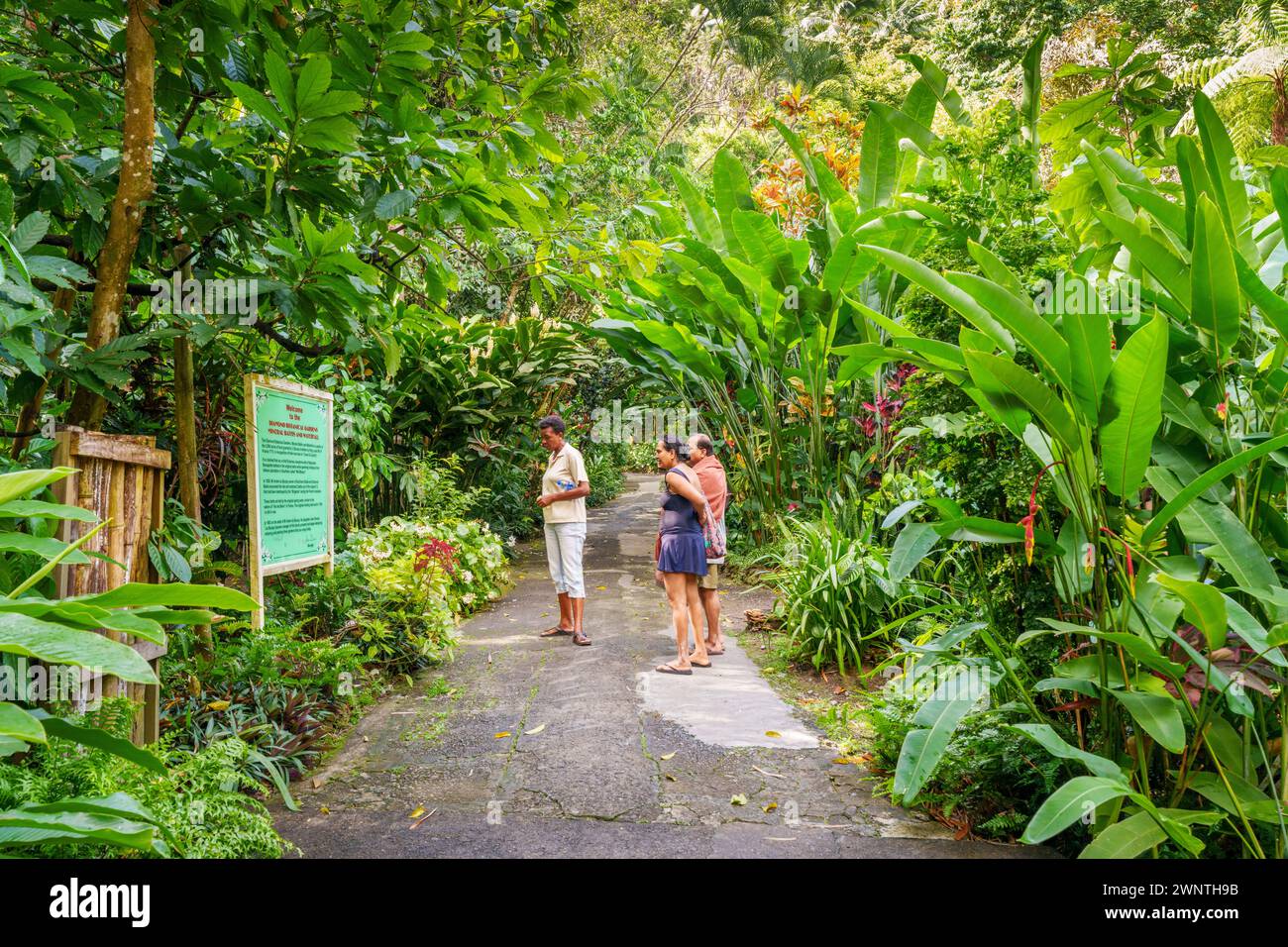 Diamond Waterfall et jardin botanique Soufrière, Sainte-Lucie, Antilles, Caraïbes orientales Banque D'Images