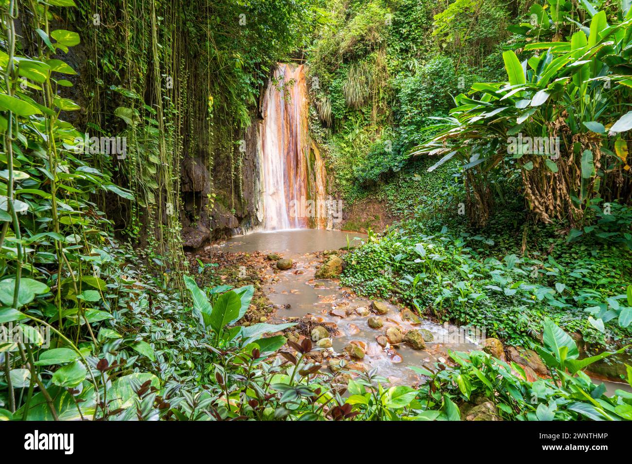Diamond Waterfall et jardin botanique Soufrière, Sainte-Lucie, Antilles, Caraïbes orientales Banque D'Images