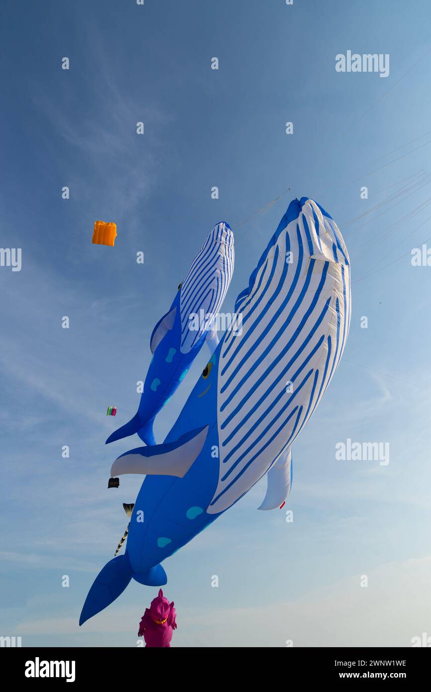 20 janvier Abudhabi UAE. Beaux et différents types de cerfs-volants du festival de cerf-volant à Abudhabi Banque D'Images