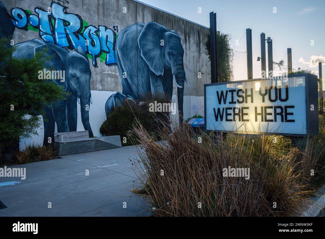 Une peinture murale d'éléphants par Owen Dippie, Manchester Street, Christchurch, Île du Sud, Nouvelle-Zélande Banque D'Images