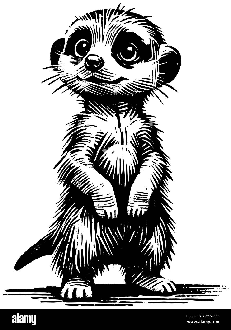 Illustration de style gravure sur bois de suricate de bébé mignon sur fond blanc. Illustration de Vecteur