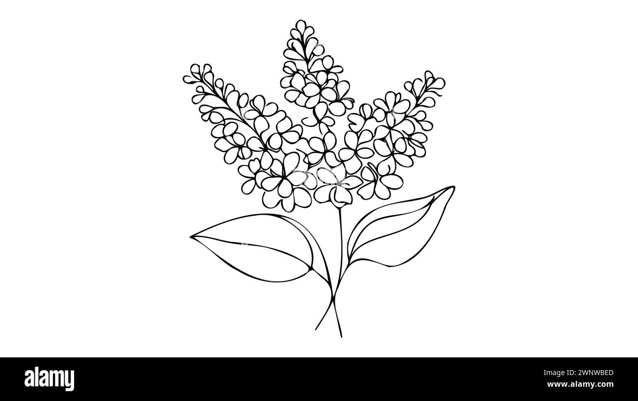 Une ligne continue dessinant la beauté fraîche syringa vulgaris pour le logo de jardin. Concept imprimable de fleur de lilas décoratif pour l'affiche d'art mural de décoration à la maison pr Illustration de Vecteur