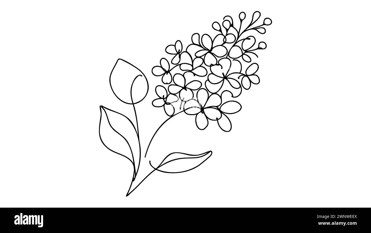 Une ligne continue dessinant la beauté fraîche syringa vulgaris pour le logo de jardin. Concept imprimable de fleur de lilas décoratif pour l'affiche d'art mural de décoration à la maison pr Illustration de Vecteur
