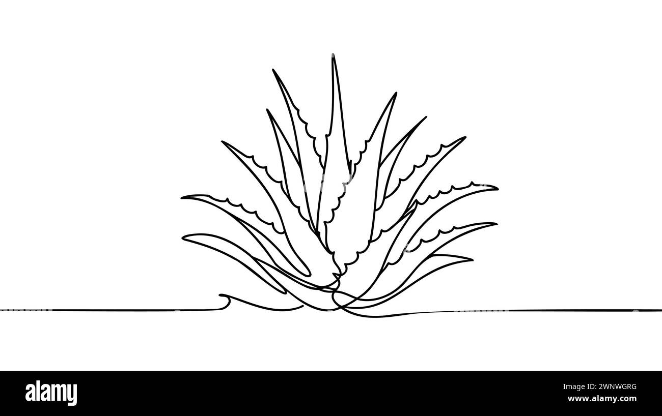 Un dessin simple ligne d'aloe vera vert biologique sain pour l'identité du logo de la ferme. Concept de plante succulente tropicale fraîche pour icône agricole. Moder Illustration de Vecteur