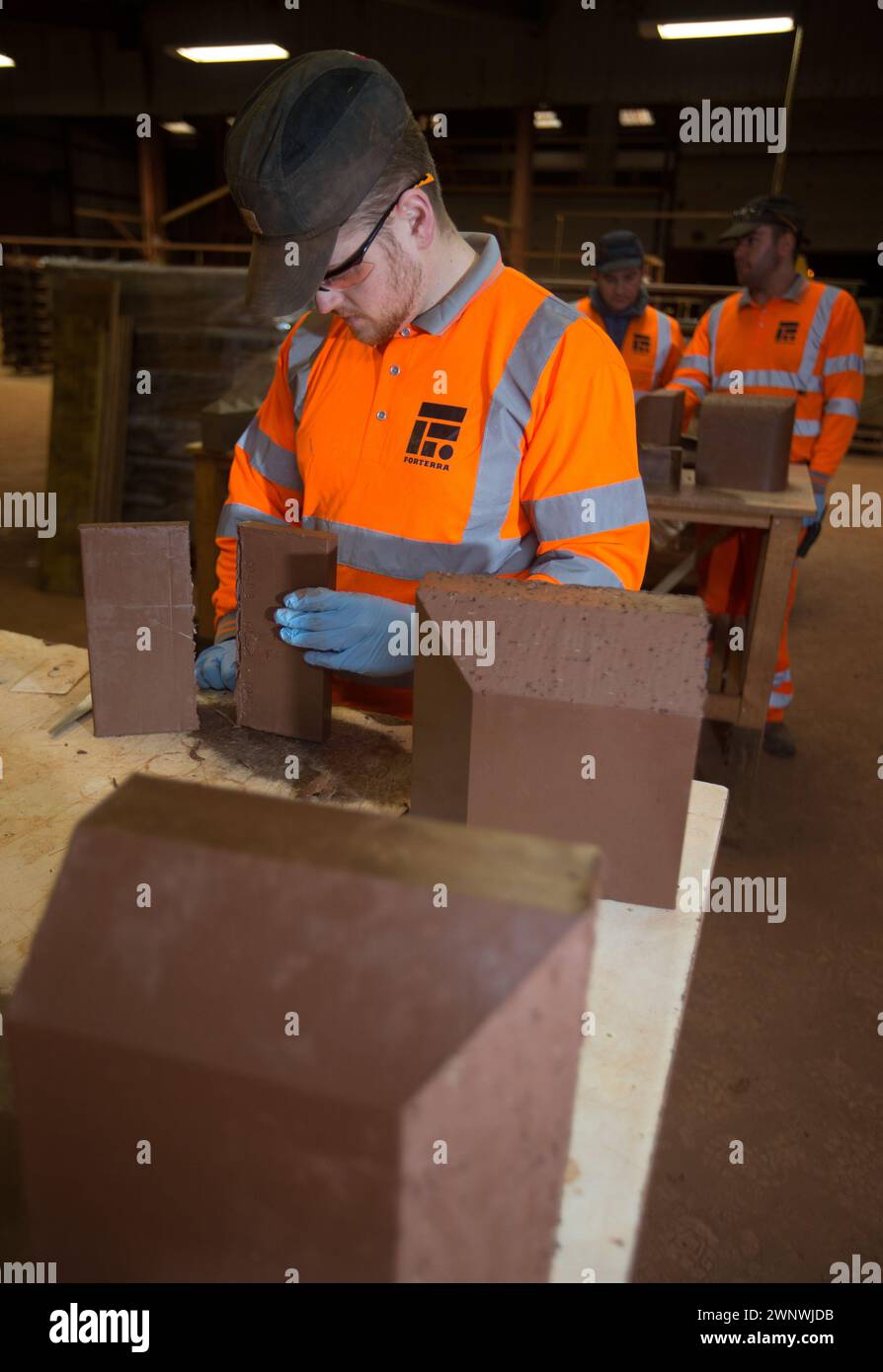 01/02/16 Cradley Special Brick Company, Cradley, West Midlands, Royaume-Uni. Banque D'Images